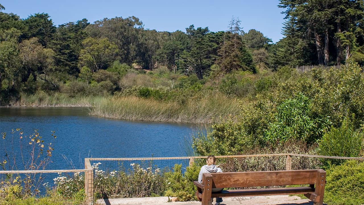 The Presidio Of San Francisco's Mountain Lake