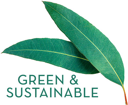 Green & Sustainable