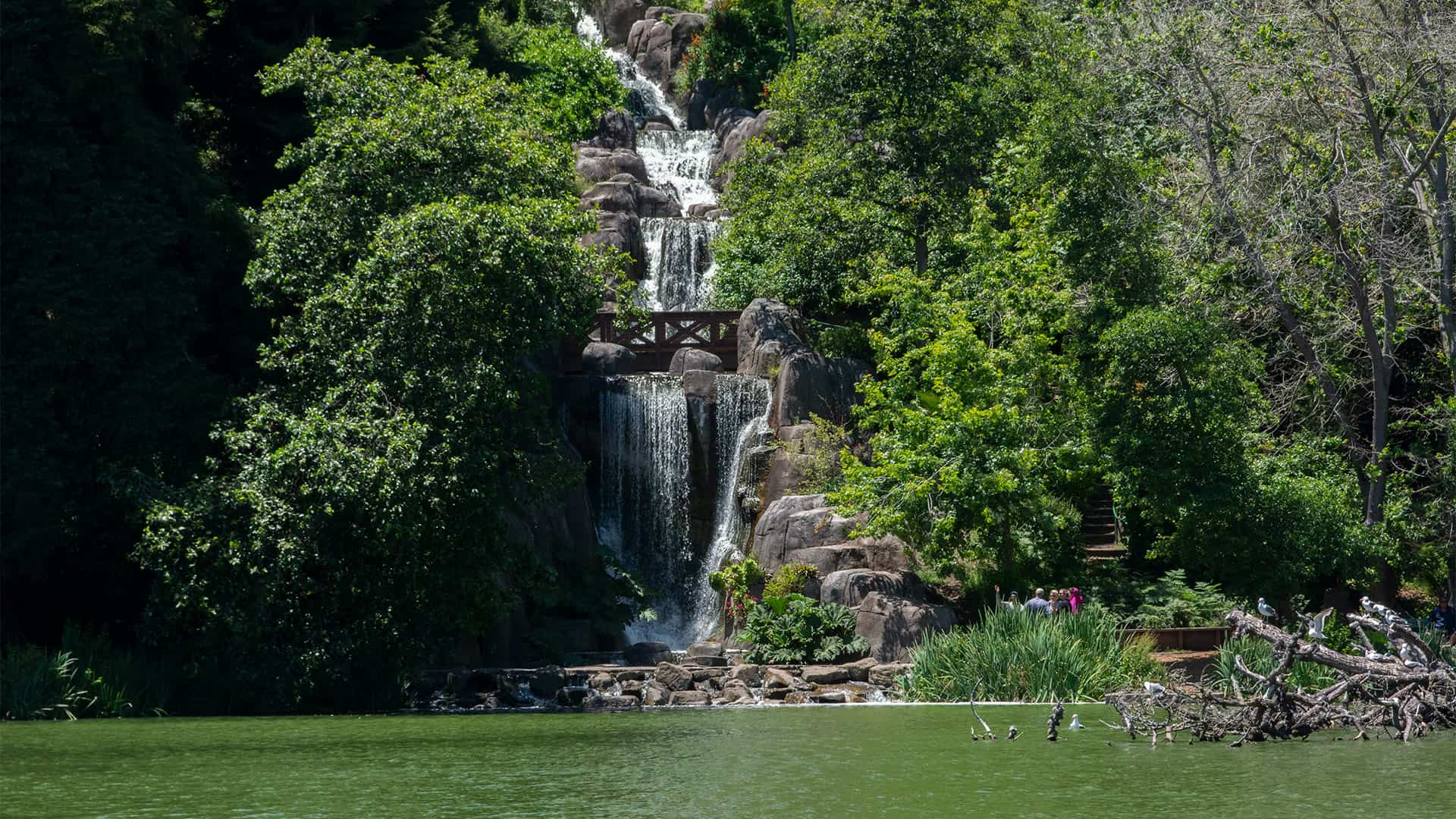 Golden Gate Park Waterfall