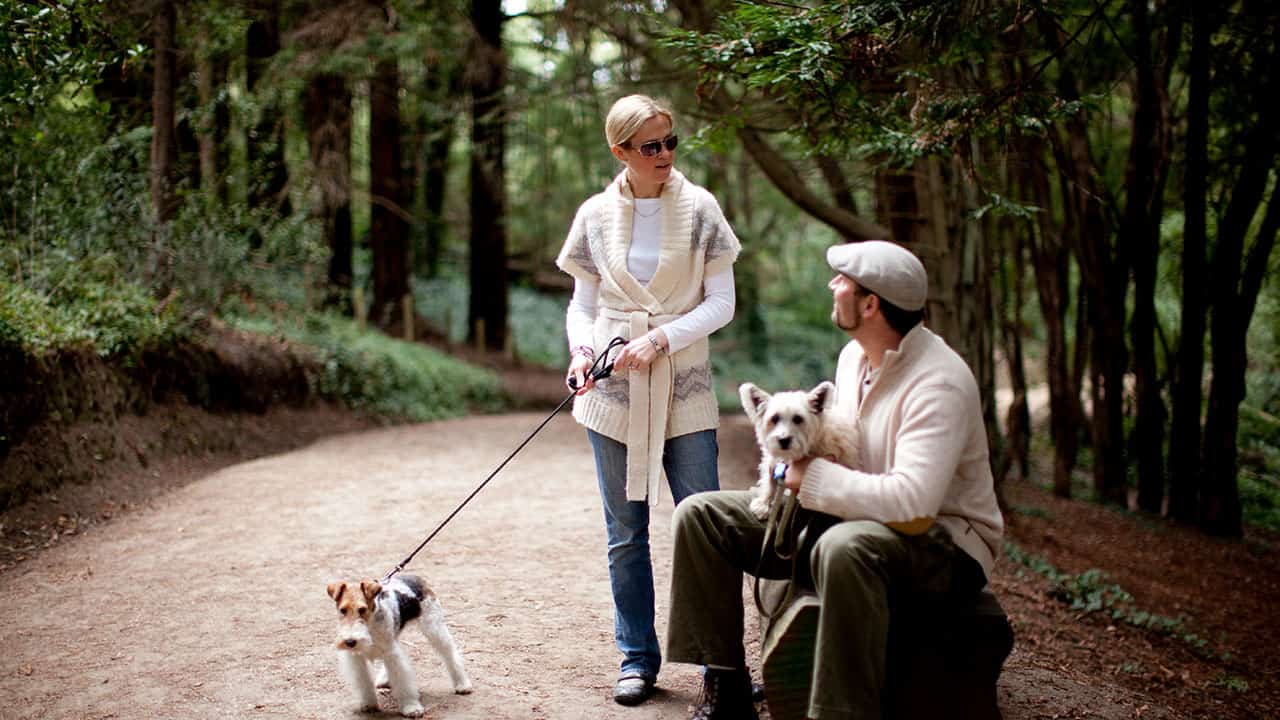 Pet Friendly Rooms And Outdoor Activities At Inn at the Presidio
