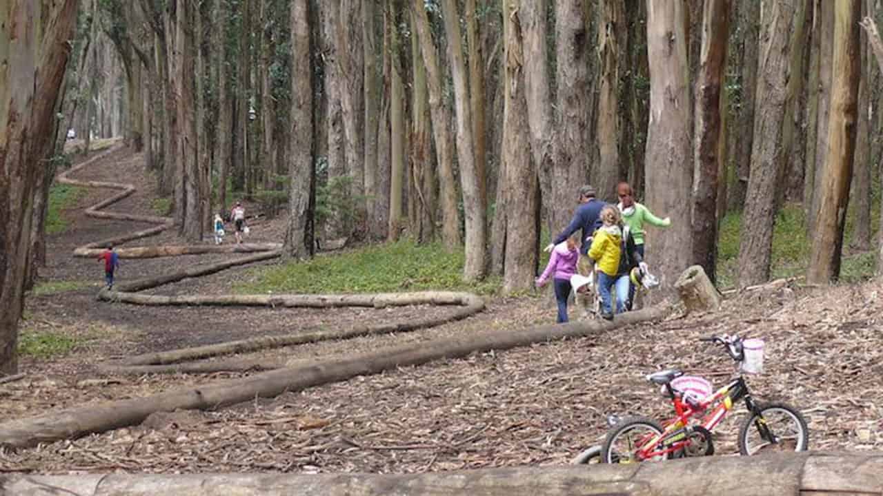 Andy Goldsworthy's Wood Line