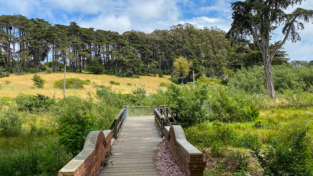 Lover’s Lane Bridge - Jesse Locks