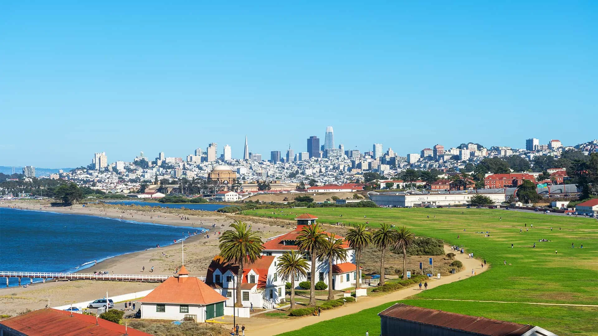 Hummingbird In the Presidio