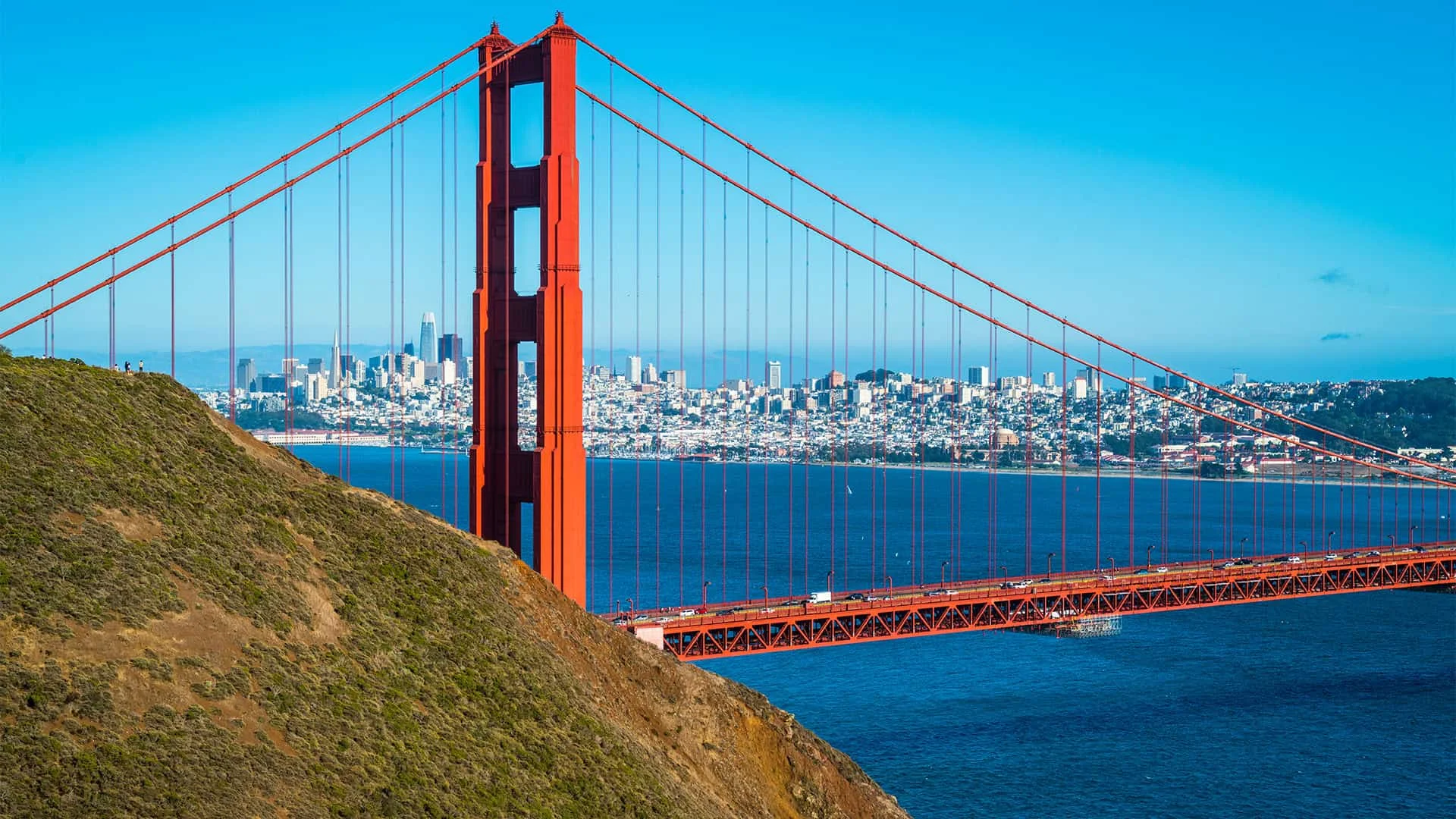 Presidio Forest - Sustainability at Inn at the Presidio