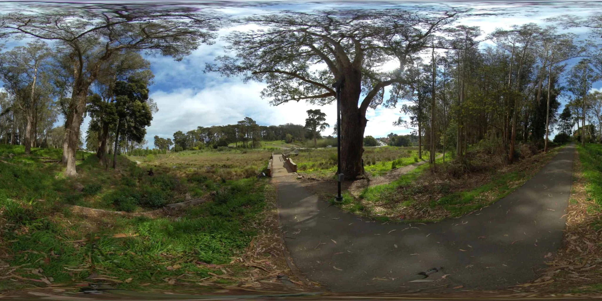 Lovers’ Lane Bridge & Macarthur Meadow (A Seasonal Wetland)